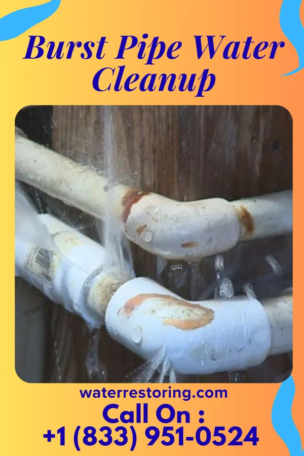 Burst Pipe Water Cleanup in Colfax, IL