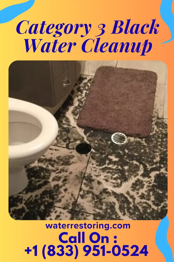 Category 3 Black Water Cleanup in Colfax, IL