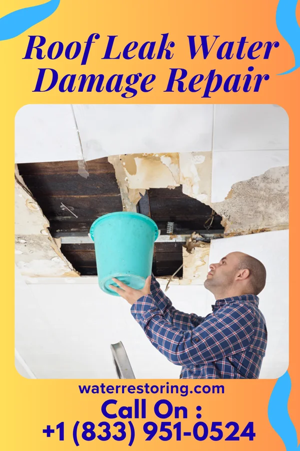 Roof Leak Water Damage Repair in Colfax, IL